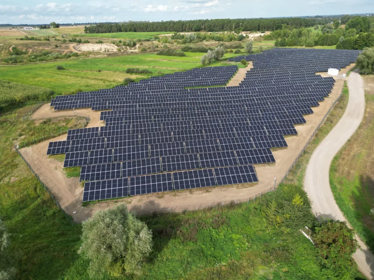 zakup energii elektrycznej